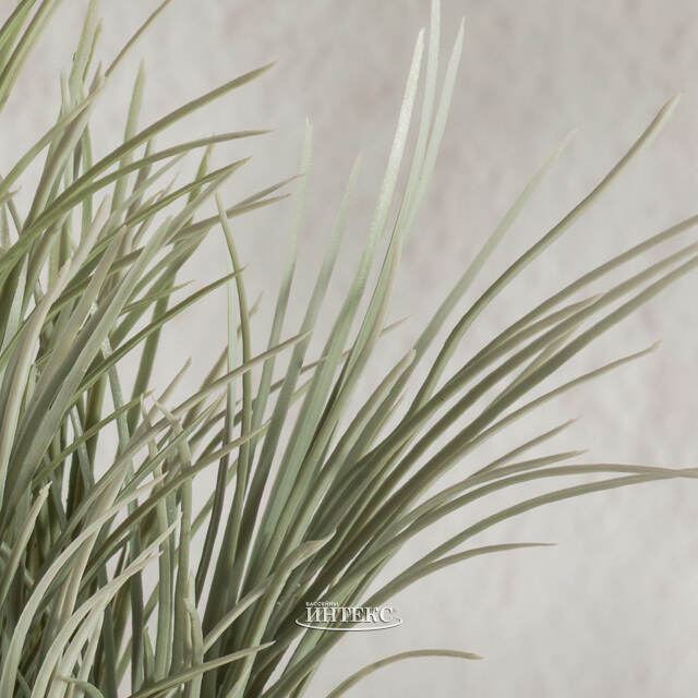 Искусственное растение в горшке Акорус - Bramhall 27 см Summer Deco