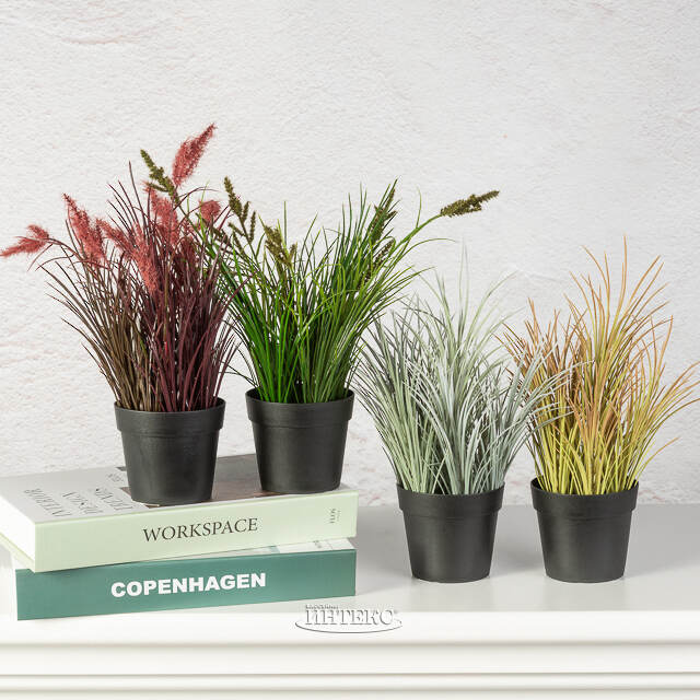 Искусственное растение в горшке Акорус - Bramhall 27 см Summer Deco