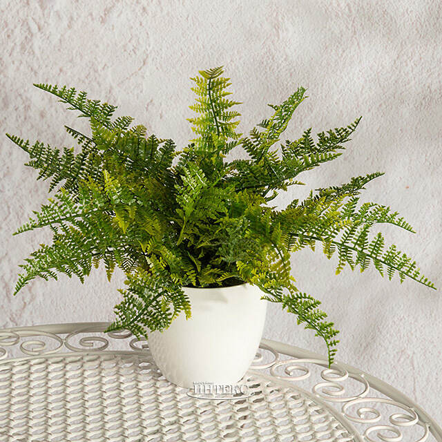 Искусственный цветок в горшке Папоротник - Гластонбери 28 см Summer Deco