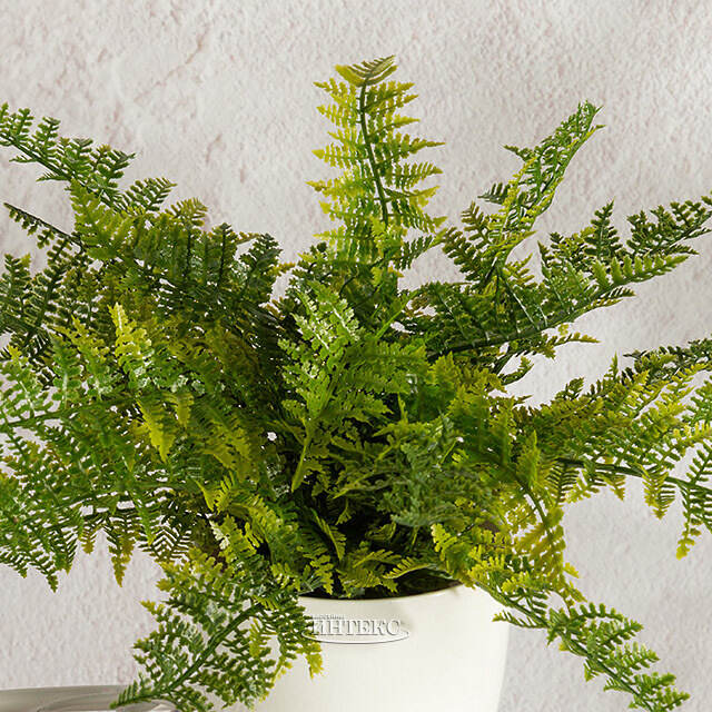 Искусственный цветок в горшке Папоротник - Гластонбери 28 см Summer Deco