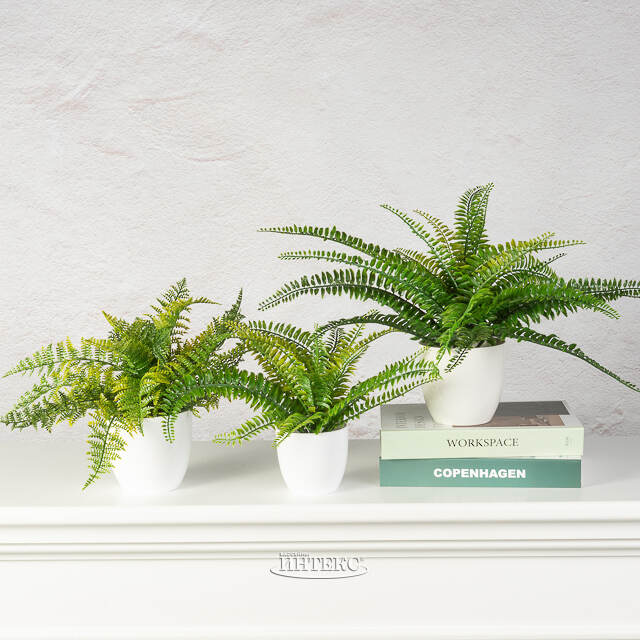 Искусственный цветок в горшке Папоротник - Малмсбери 43 см Summer Deco