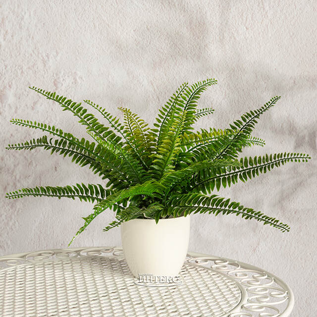 Искусственный цветок в горшке Папоротник - Малмсбери 43 см Summer Deco