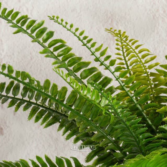 Искусственный цветок в горшке Папоротник - Малмсбери 43 см Summer Deco