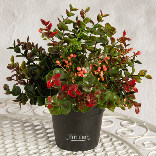 Искусственный цветок в горшке Harwich 22 см Summer Deco