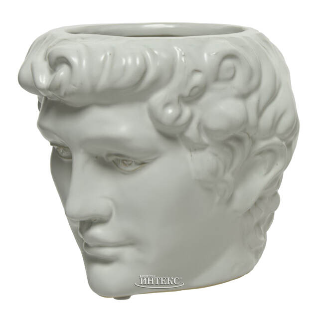 Декоративное кашпо Голова Давида 18 см Kaemingk (Кейминг)