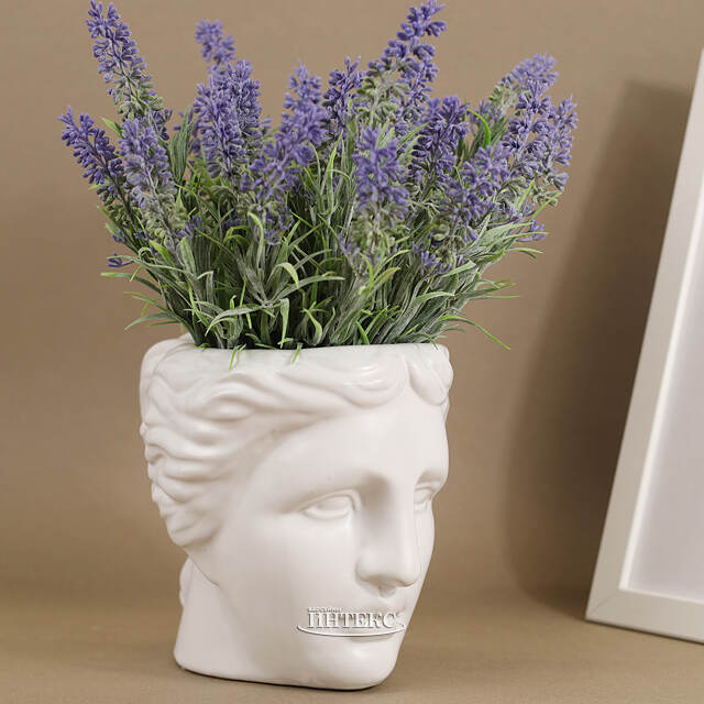 Декоративное кашпо Голова Венеры 18 см Kaemingk (Кейминг)