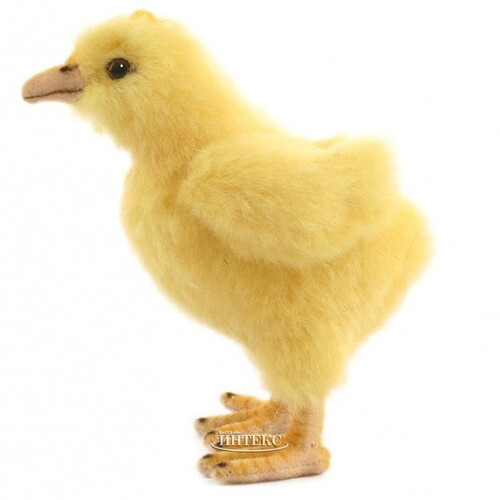 Мягкая игрушка Цыпленок 12 см купить в интернет-магазине Бассейны INTEX  intex-rus.ru, 5378