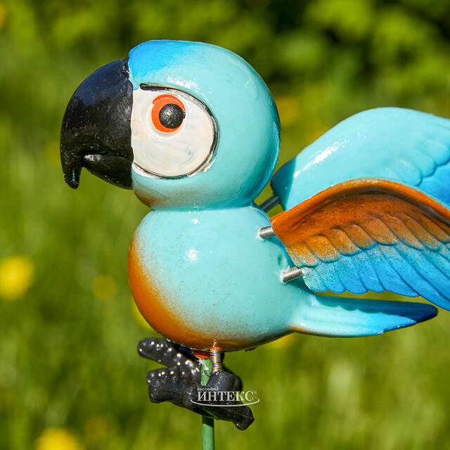 Садовый штекер Попугай Филиппо 67 см синий Koopman (Купман)