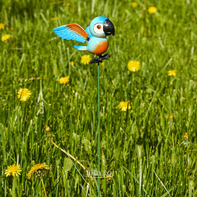 Садовый штекер Попугай Филиппо 67 см синий Koopman (Купман)