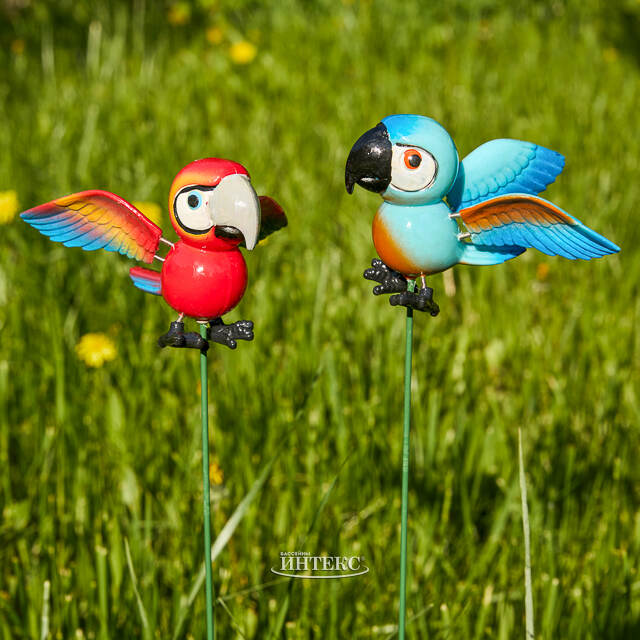 Садовый штекер Попугай Филиппо 67 см синий Koopman (Купман)