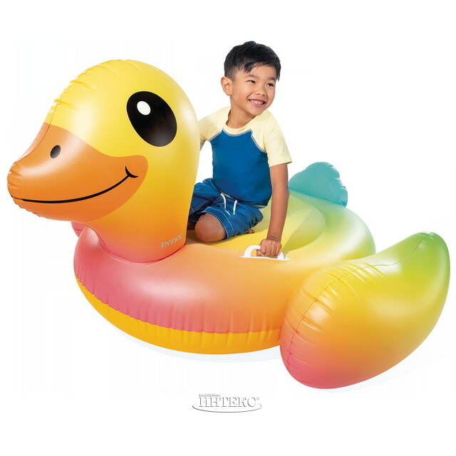 Надувная игрушка Уточка 147*147 см радужная INTEX