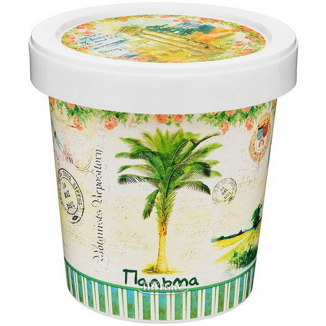 Набор для выращивания дерева Пальма Rostokvisa (Ростоквиса)