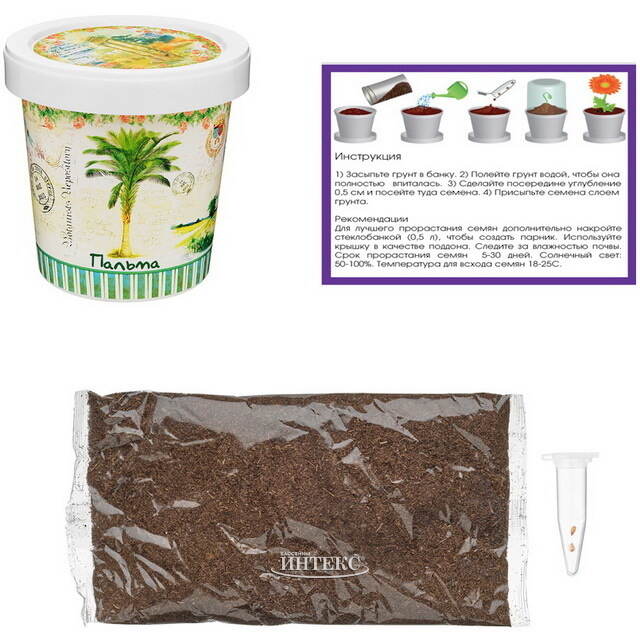 Набор для выращивания дерева Пальма Rostokvisa (Ростоквиса)