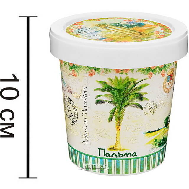 Набор для выращивания дерева Пальма Rostokvisa (Ростоквиса)