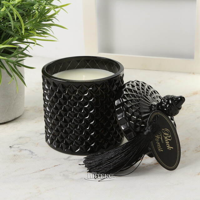 Ароматическая свеча Anias - Black Forest 14 см EDG (ЭДГ)