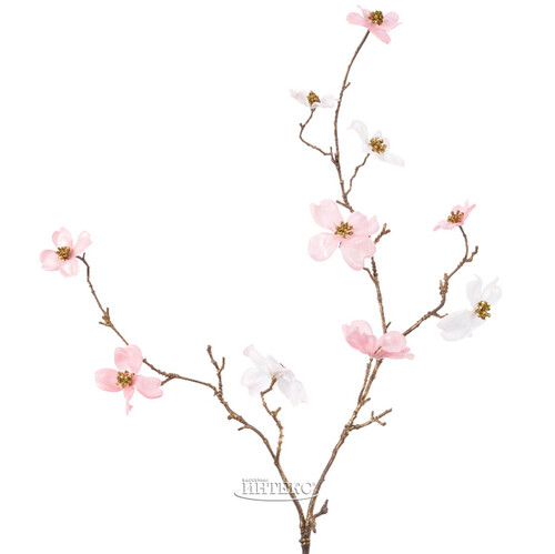 Декоративная ветка Цветущий Кизил 92 см бело-розовый Kaemingk