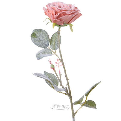 Искусственная Роза Снежная 72 см розовый персик Kaemingk