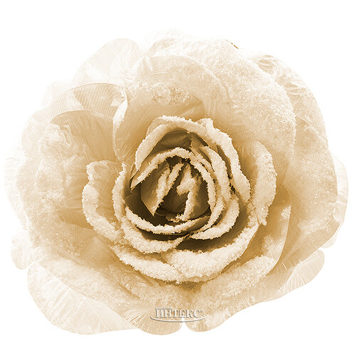 Роза Заснеженная 12 см кремовая, клипса Kaemingk