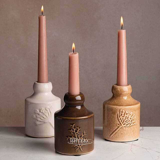 Набор подсвечников Ботаника 12 см, 3 шт Kaemingk (Кейминг)