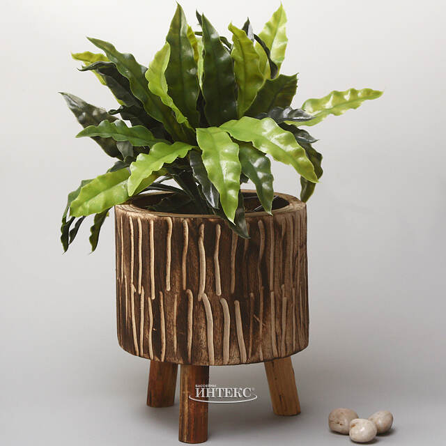 Деревянное кашпо на ножках Paulownia Cocoa 22 см Kaemingk