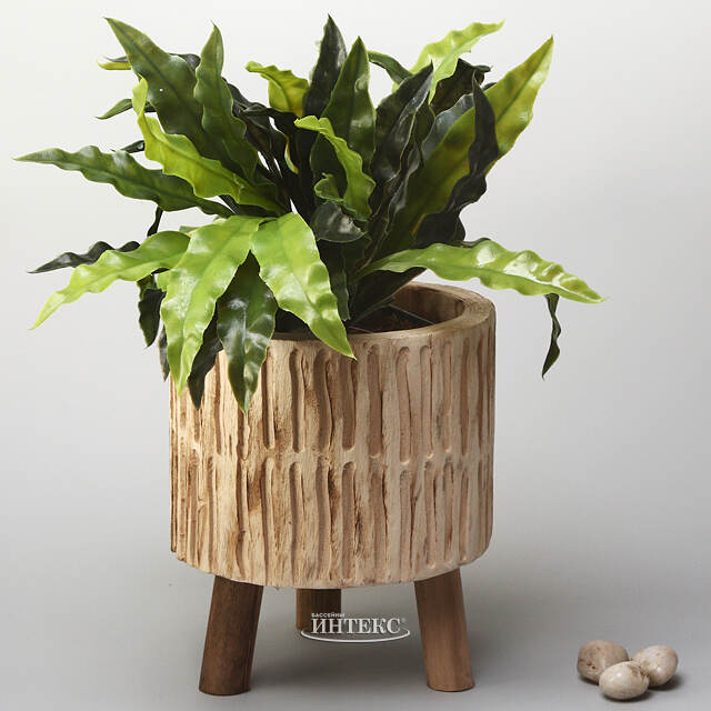 Деревянное кашпо на ножках Павловния Элмонд 22 см Kaemingk (Кейминг)