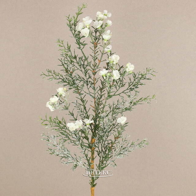 Искусственная ветка Хамелациум белый 70 см Kaemingk