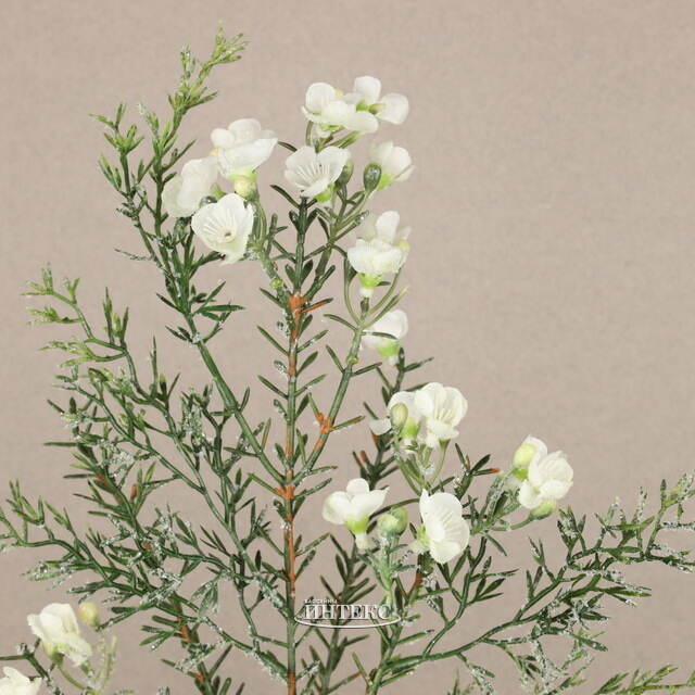 Искусственная ветка Хамелациум белый 70 см Kaemingk