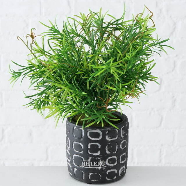 Искусственное растение в горшке Самшит 29 см черный Boltze (Больтце)