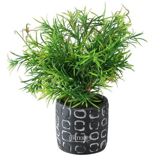 Искусственное растение в горшке Самшит 29 см черный Boltze (Больтце)