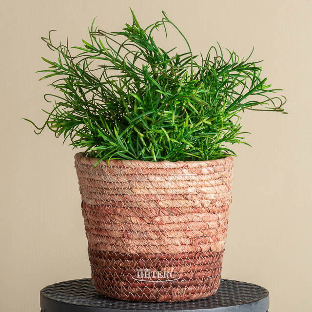 Искусственное растение в горшке Самшит 29 см черный Boltze (Больтце)