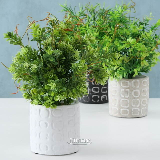 Искусственное растение в горшке Самшит 29 см бежевый Boltze (Больтце)