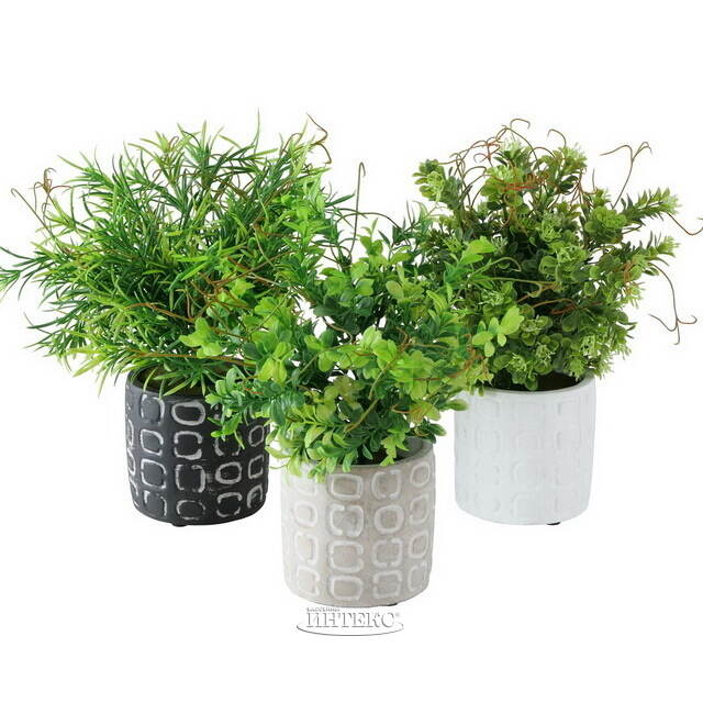 Искусственное растение в горшке Boxwood 29 см белый Boltze