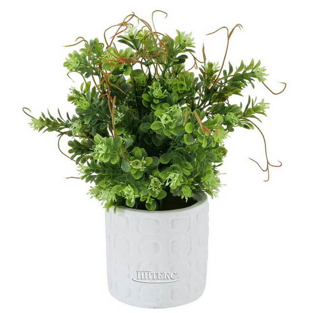 Искусственное растение в горшке Boxwood 29 см белый Boltze