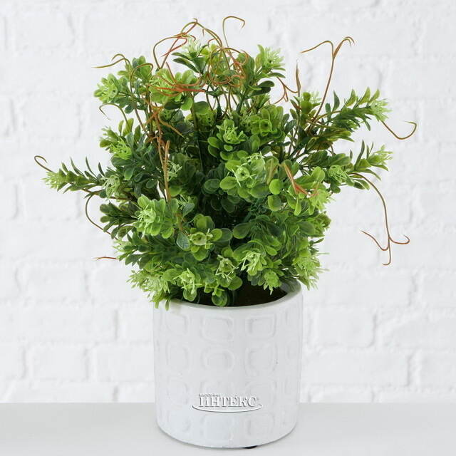 Искусственное растение в горшке Boxwood 29 см белый Boltze