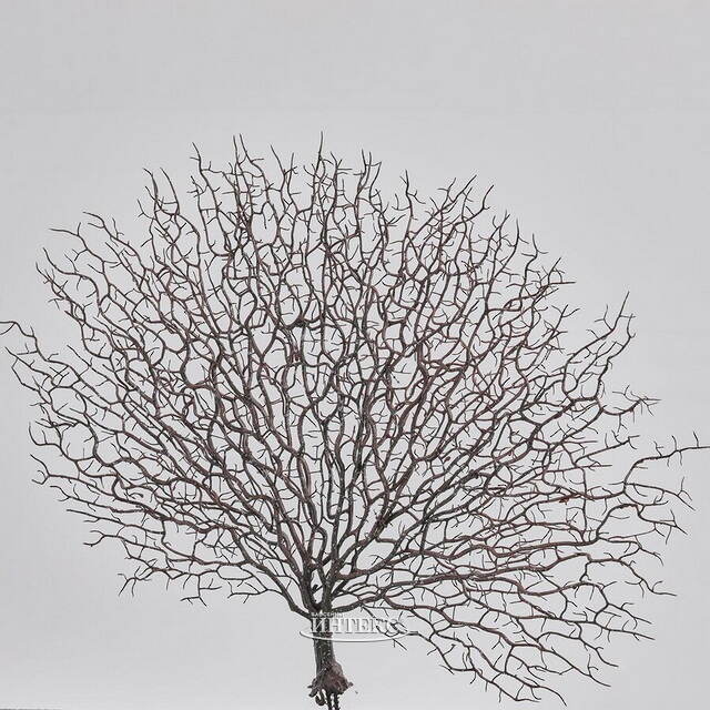 Искусственная ветка Corallo Chic 58 см EDG