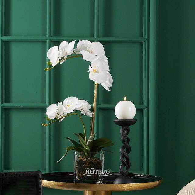 Металлический подсвечник для 1 свечи Graceful Snake 25 см черный EDG (ЭДГ)