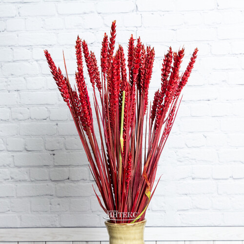 Сухоцветы для букетов Пшеница 50 см красная Kaemingk