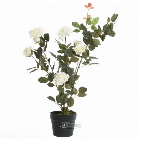 Искусственный цветок в горшке Белоснежная Роза Меррил 80 см Kaemingk