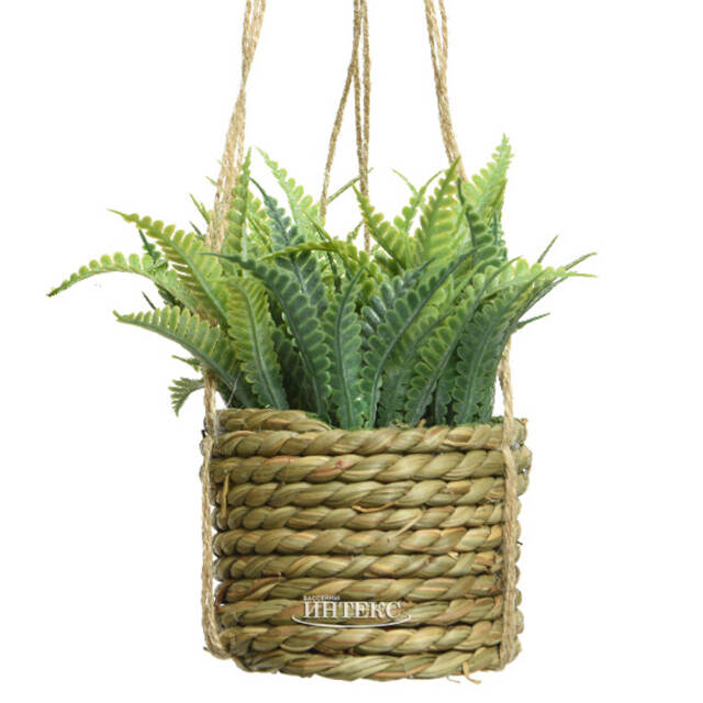 Искусственное растение в кашпо Алоэ 12 см Kaemingk (Кейминг)