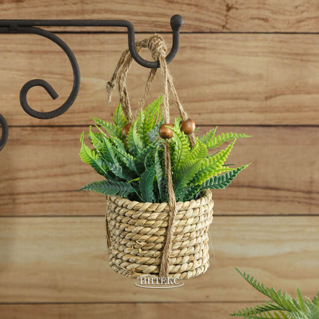 Искусственное растение в кашпо Алоэ 12 см Kaemingk (Кейминг)