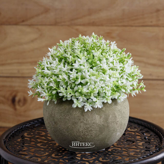 Искусственное растение в кашпо Японский Клематис 13 см Kaemingk (Кейминг)