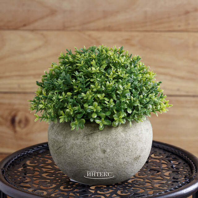 Искусственное растение в кашпо Мирт Терентина 13 см Kaemingk