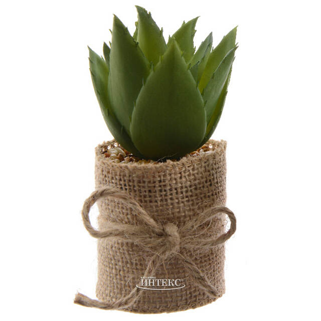 Искусственное растение Алоэ Barbadensis в джутовом кашпо 12 см Kaemingk