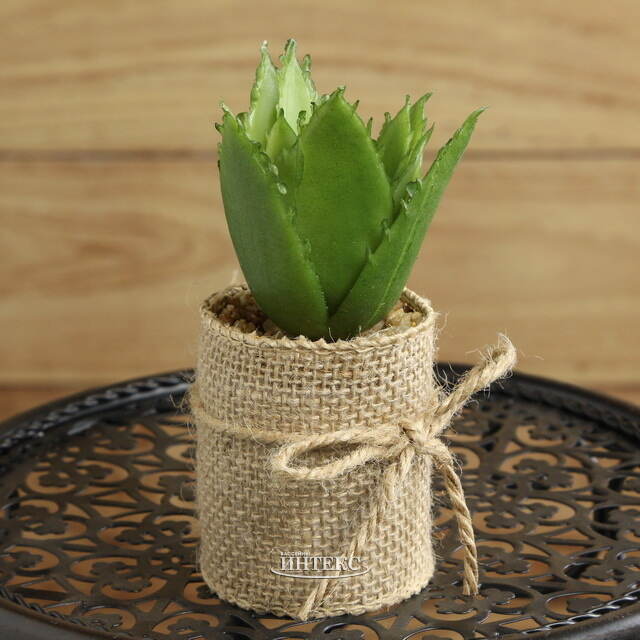 Искусственное растение Алоэ Barbadensis в джутовом кашпо 12 см Kaemingk