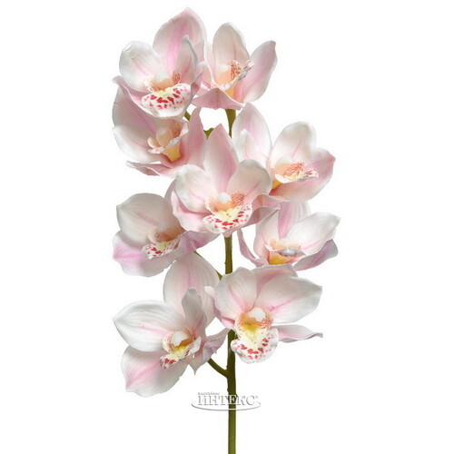 Искусственный цветок Орхидея Queen Mary 71 см Kaemingk