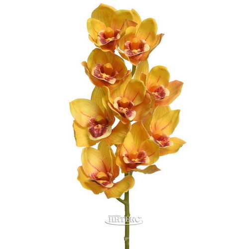 Искусственный цветок Орхидея Queen Eloise 71 см Kaemingk