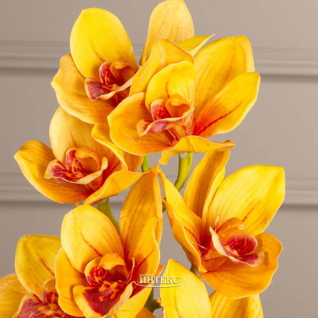 Искусственный цветок Орхидея Королева Элоиза 71 см Kaemingk (Кейминг)