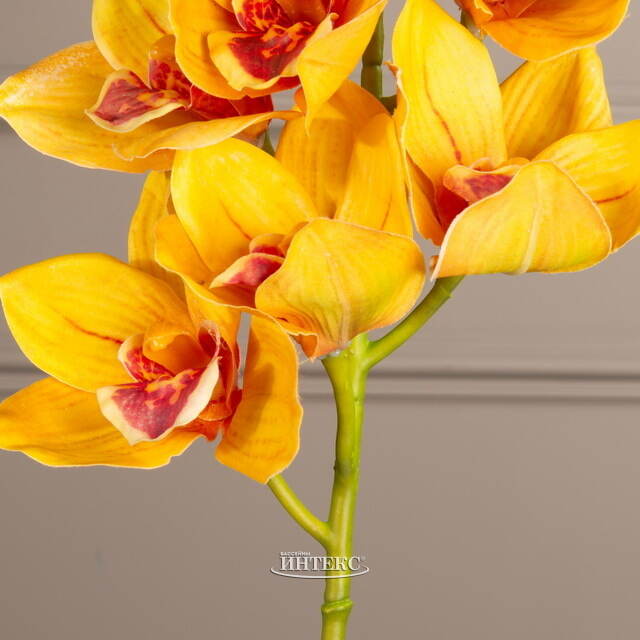 Искусственный цветок Орхидея Королева Элоиза 71 см Kaemingk (Кейминг)