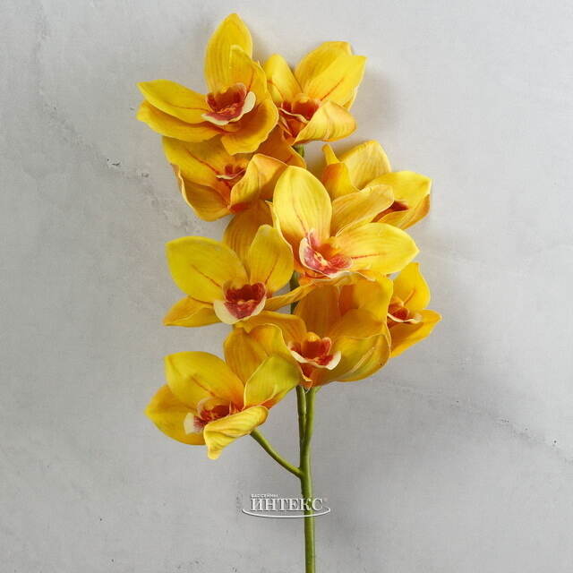 Искусственный цветок Орхидея Queen Eloise 71 см Kaemingk