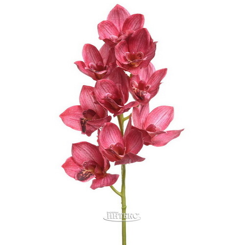 Искусственный цветок Орхидея Queen Victoria 71 см Kaemingk